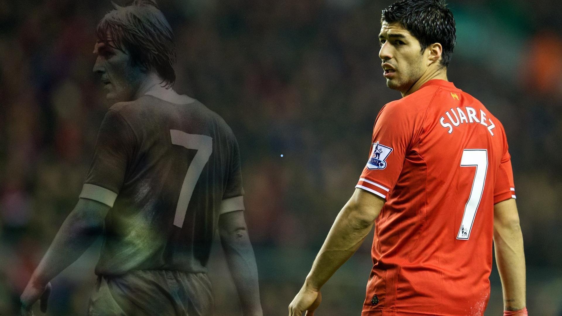 河南队重磅官宣2024赛季铜靴得主古斯塔沃加盟,海港球员实力获赞真香引中超热议